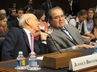 Breyer Scalia