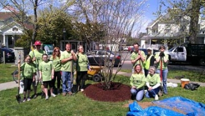 Tree planting in Milford