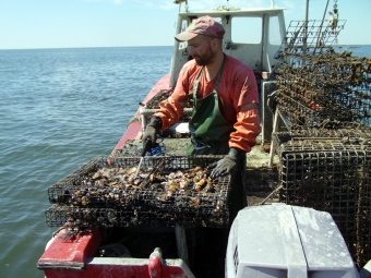 Brendan Smith and oysters Brendan Smith and oysters