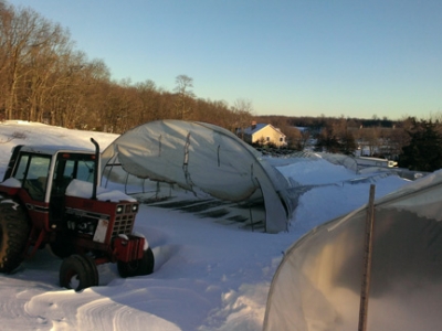 Sport Hill farm 1