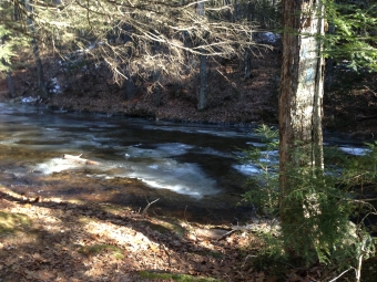 fenton river