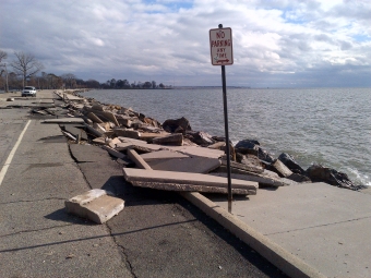 park damage