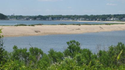 Bushy Point Beach at Bluff Point State Park this summer showing back side of dune with Long Island Sound in background. It was covered with vegetation prior to Sandy. While still bare, vegetation is returning on its own.