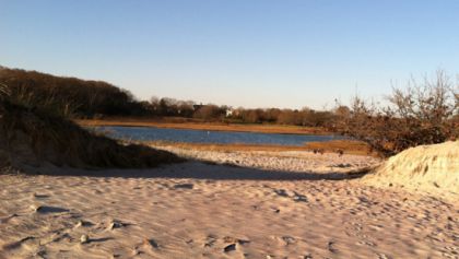 A breach in a dune on the Waterford shoreline, seen up close.