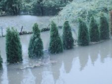 Here's what they looked like in the storm.