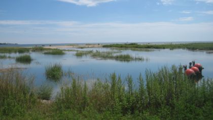 The mouth of Old Field Creek
