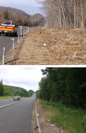 Trees on Route 9 after trimming, and after grow-back.