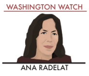 Washington Watch bug