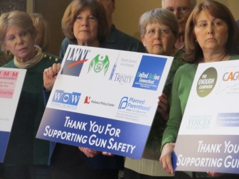 Gun-control groups say they will provide political cover for their allies this fall.