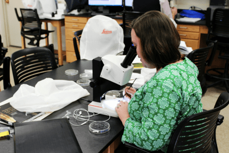 University of Connecticut graduate assistant