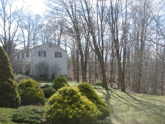 Eugene deJoannis's Manchester home would be perfect for solar energy -- except that his neighbor's trees shade his roof from the sun.