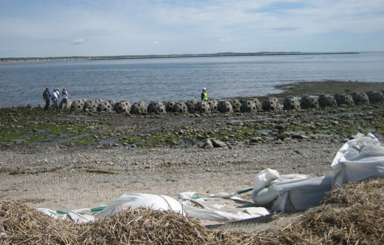 These giant concrete domes, called Reef Balls, could help manage the erosion in Stratford. In the foreground, the damaged dune is visible.