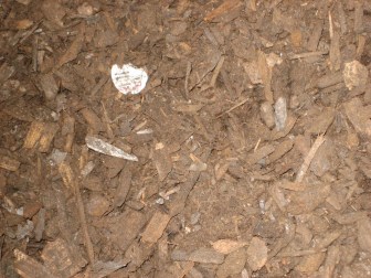 A compost pile made from food waste at New Milford Farms is dotted with stickers from produce. Such contamination remains a gnarly problem for food waste processing operations.