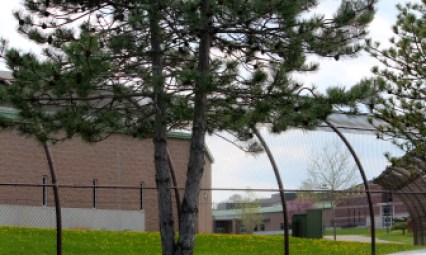 The Connecticut Juvenile Training School in Middletown