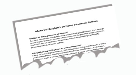 snap q and a graphic