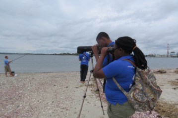 Wildlife guards scan Bridgeport's Pleasure Beach.