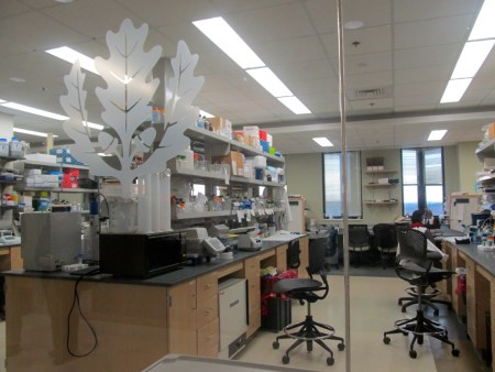A new research lab at the UConn Health center in Farmington