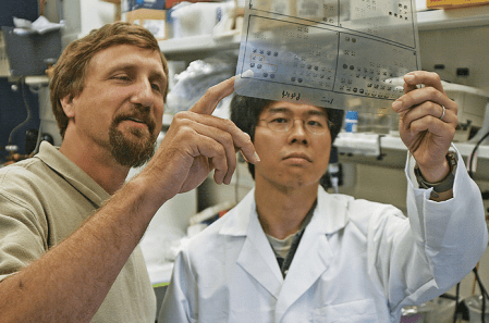 Professors Bruce Mayer, left, and Kazuya Machida in Mayer's lab
