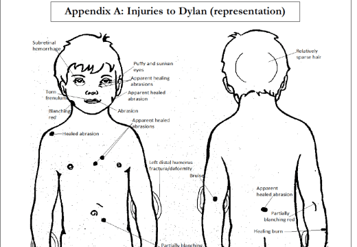 Injury report from Dylan's emergency room visit