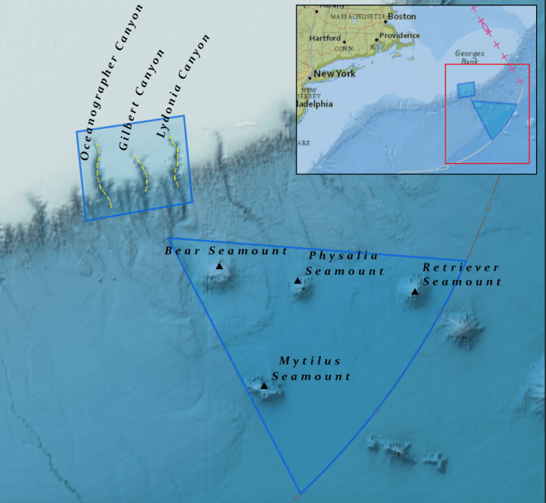 Giving away our protected ocean places