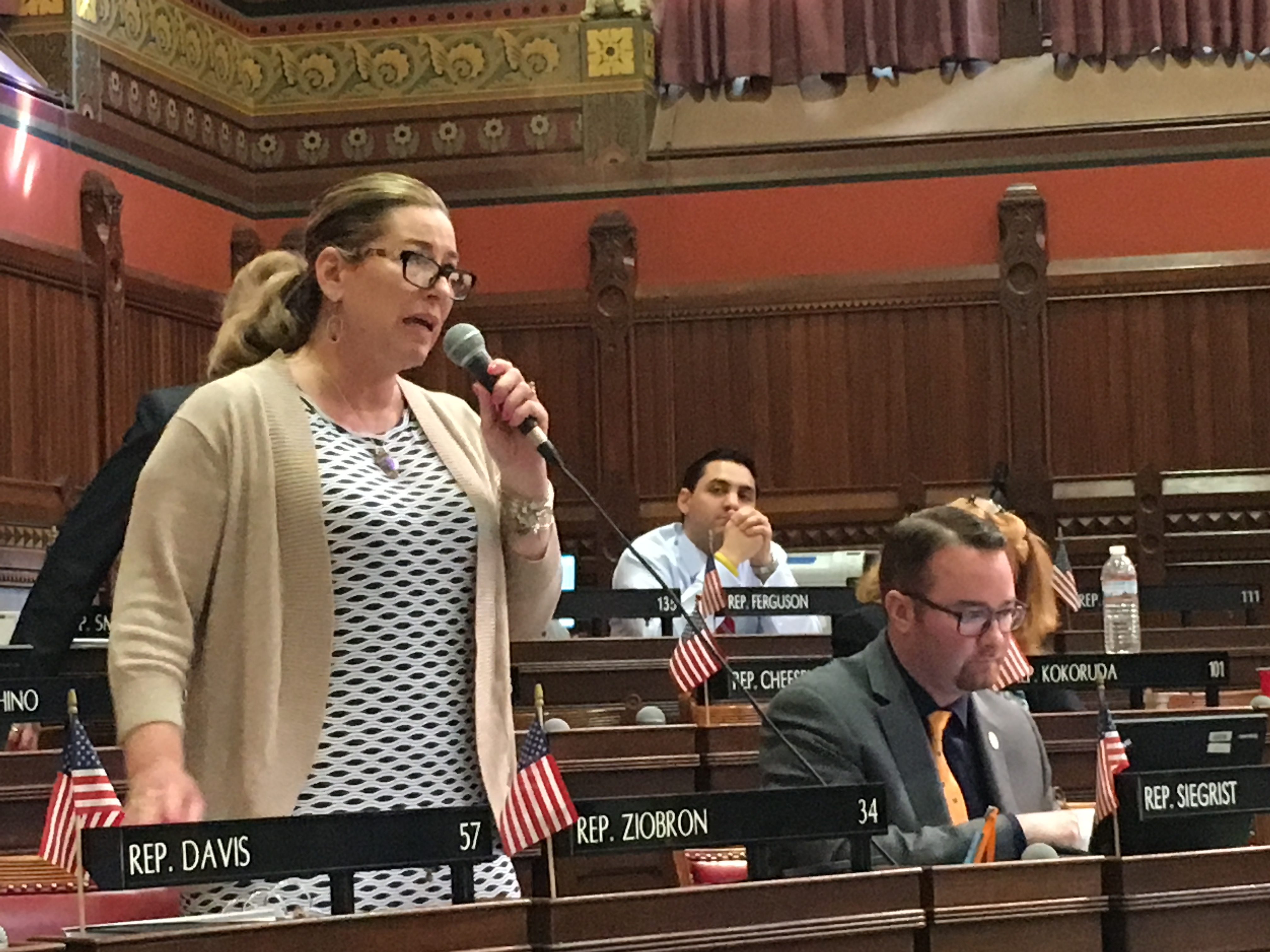 A legislator and then a staffer, Ziobron is seeking her old House seat