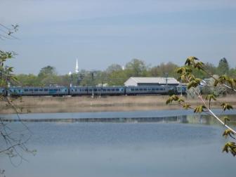 The Amtrak/Shoreline East line is slightly elevated above the mouth of the Branford River. The tracks run through salt marsh and floodplains in other parts of town and nearly all of neighboring Guilford.