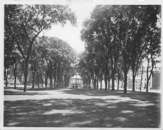 The Waterbury Green looking east in this Republican-American archives photo from 1905. Still standing were the elm trees, which were wiped out in the mid-20th century by Dutch elm disease.