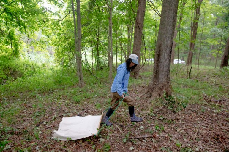 Is tick season starting earlier than usual in 2026?