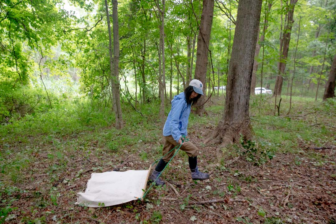 Is tick season starting earlier than usual in 2026?