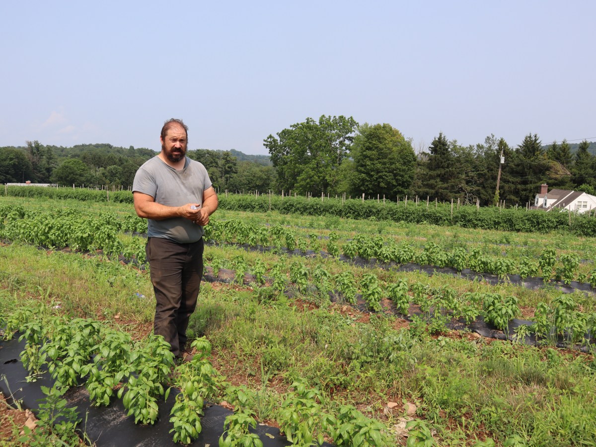 CT farmers won’t see federal relief for crop damage until 2026