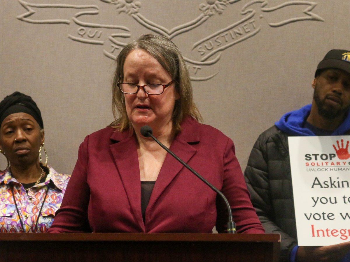 Hilary Carpenter, standing in front of a podium with a microphone, speaks to a room full of people while two people are seen standing behind her to each side.
