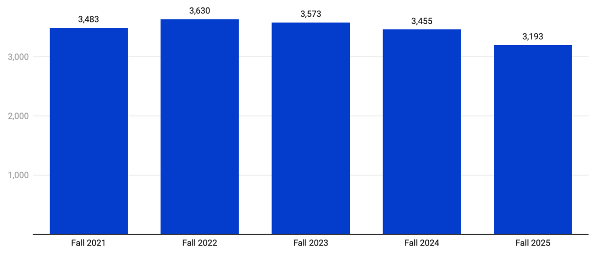 International student enrollment at UConn is down 8%