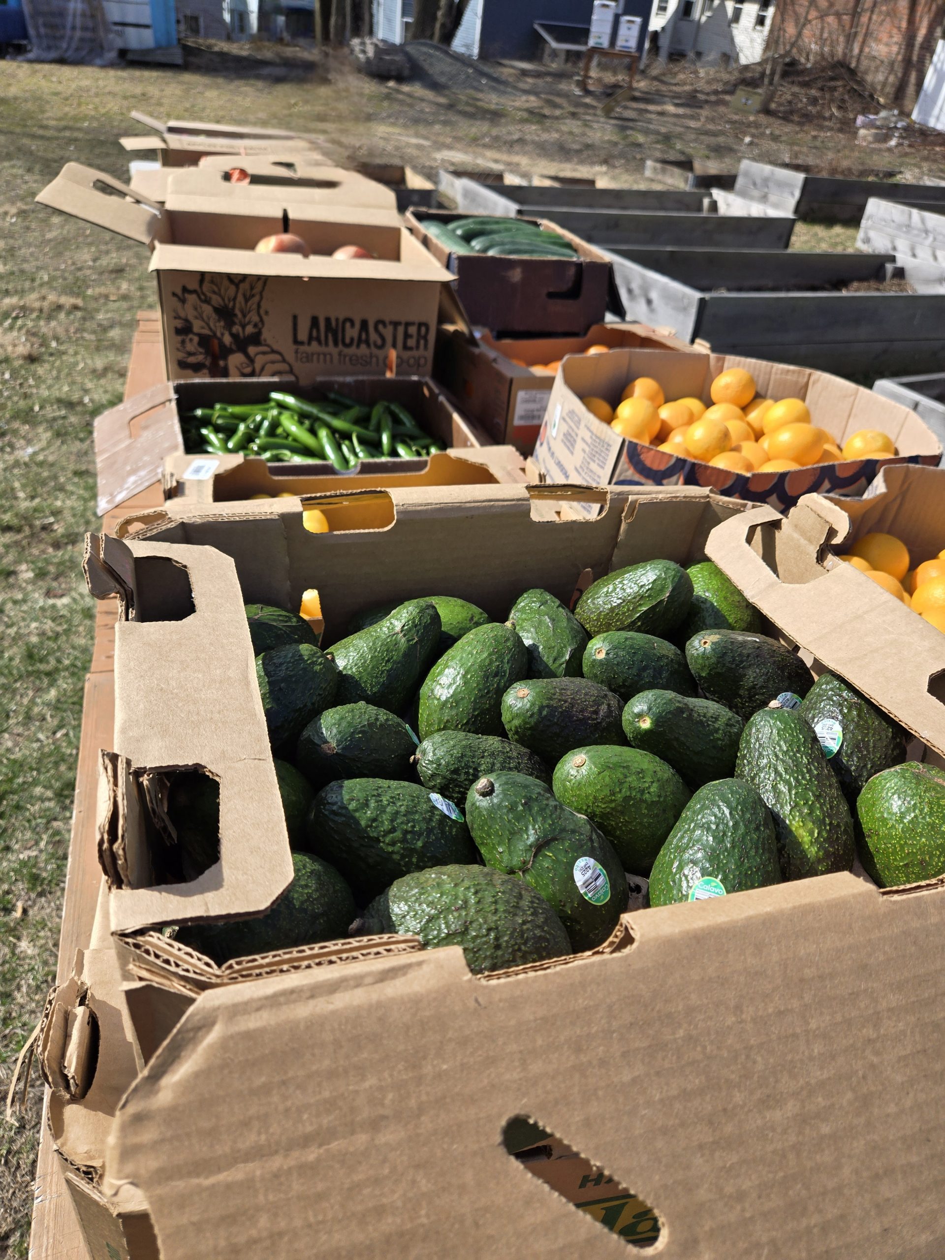 Opinion: A moment that demands action from all of us