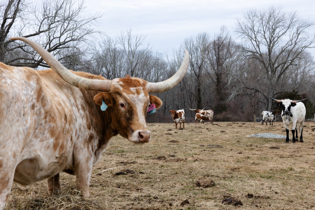 CT farmers protested tax hikes. This working group has a solution