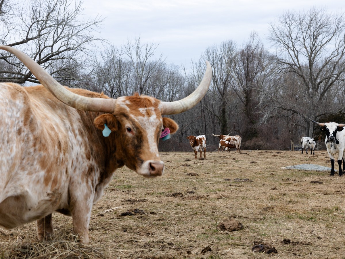 CT farmers protested tax hikes. This working group has a solution
