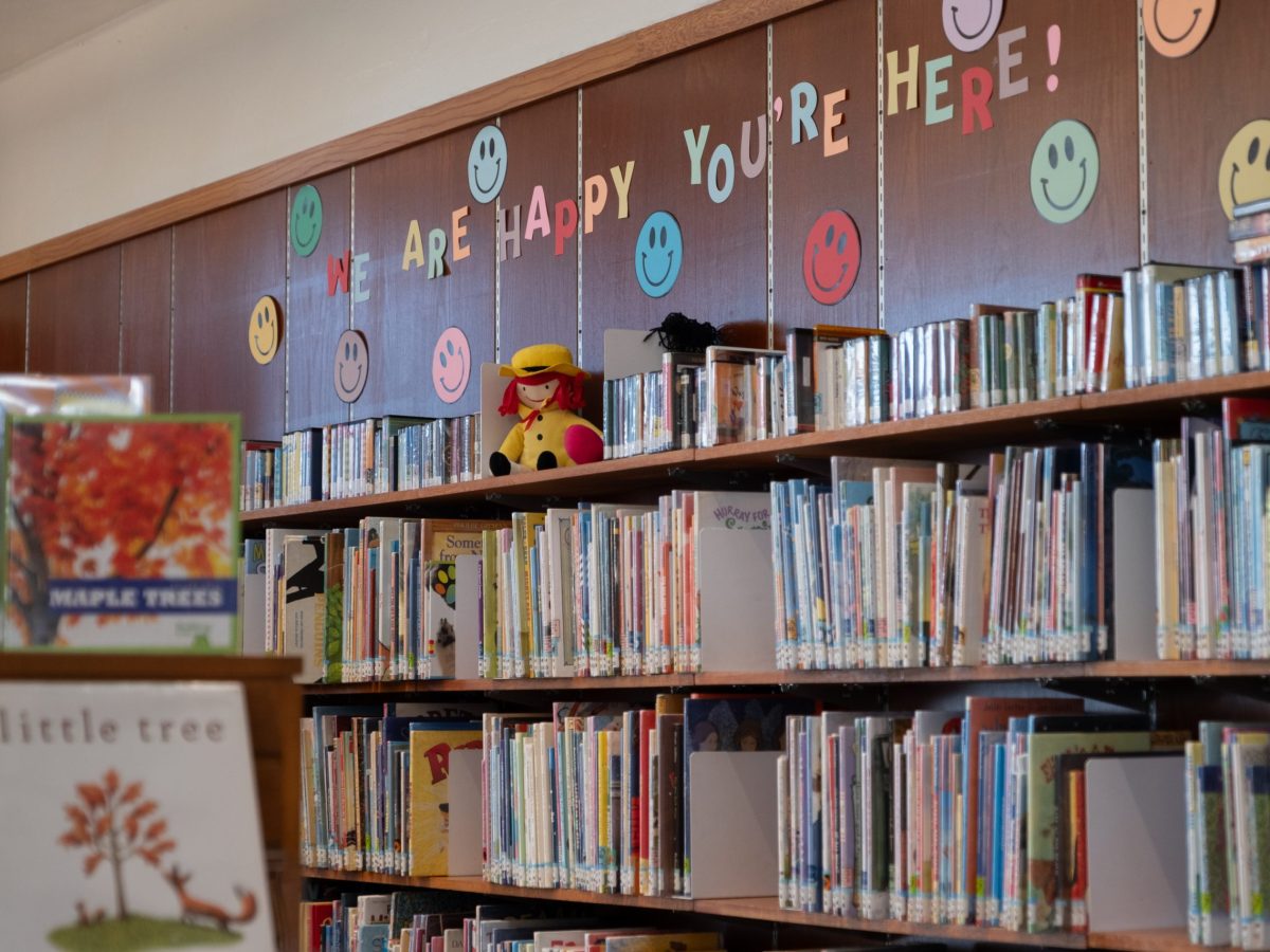 CT libraries face possible 20% cut to cross-town borrowing program