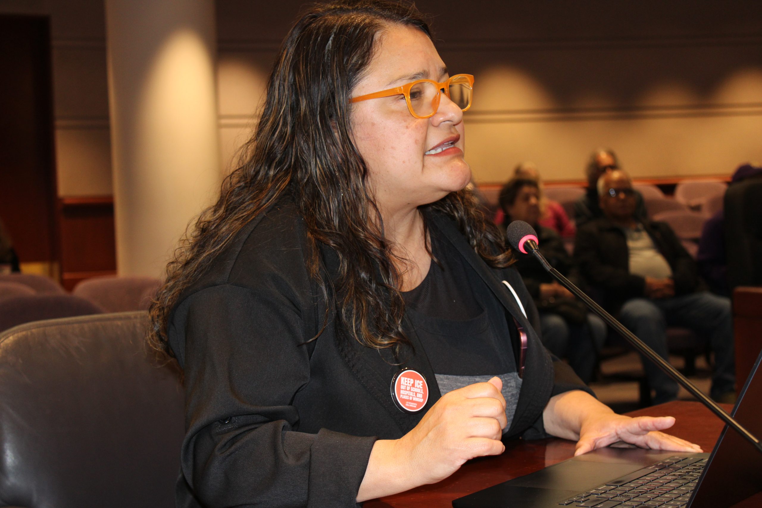 Hundreds testify in favor of ICE accountability, ‘safe spaces’ for immigrants