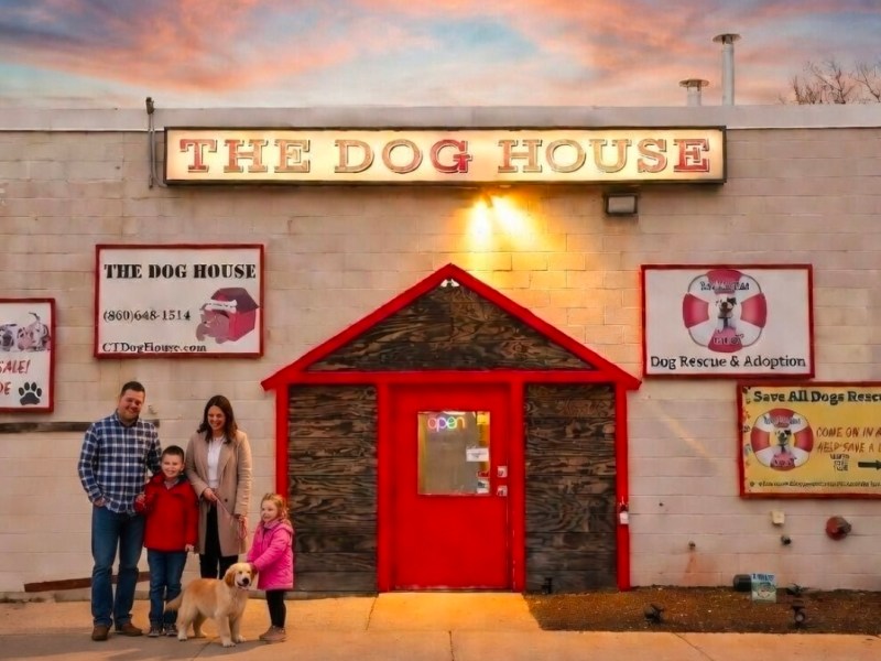 Pet stores and rescues are not enemies