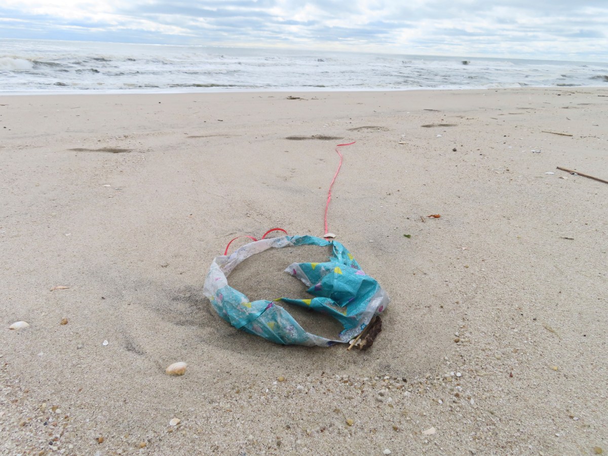 Ban on releasing balloons passes CT Senate