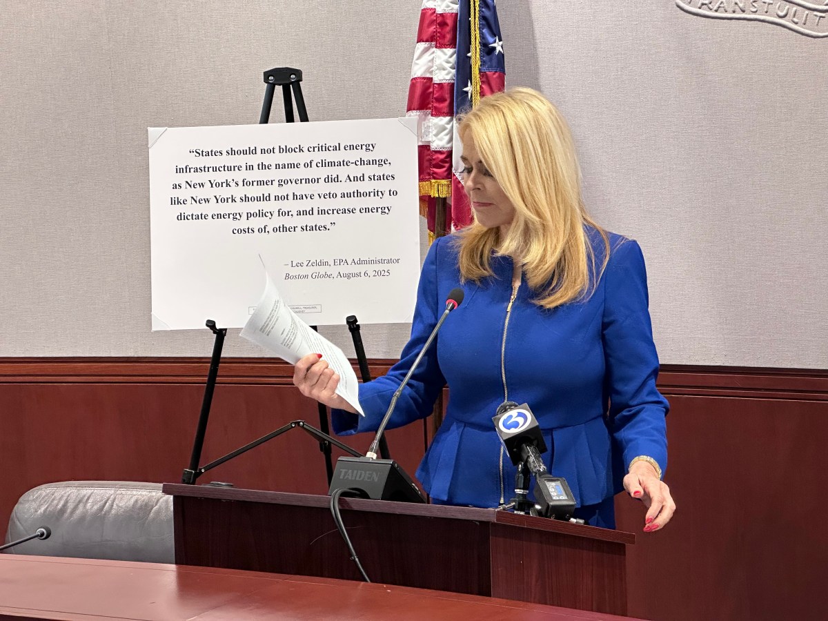 Betsy McCaughey, seeking GOP nod for CT governor, sues NY