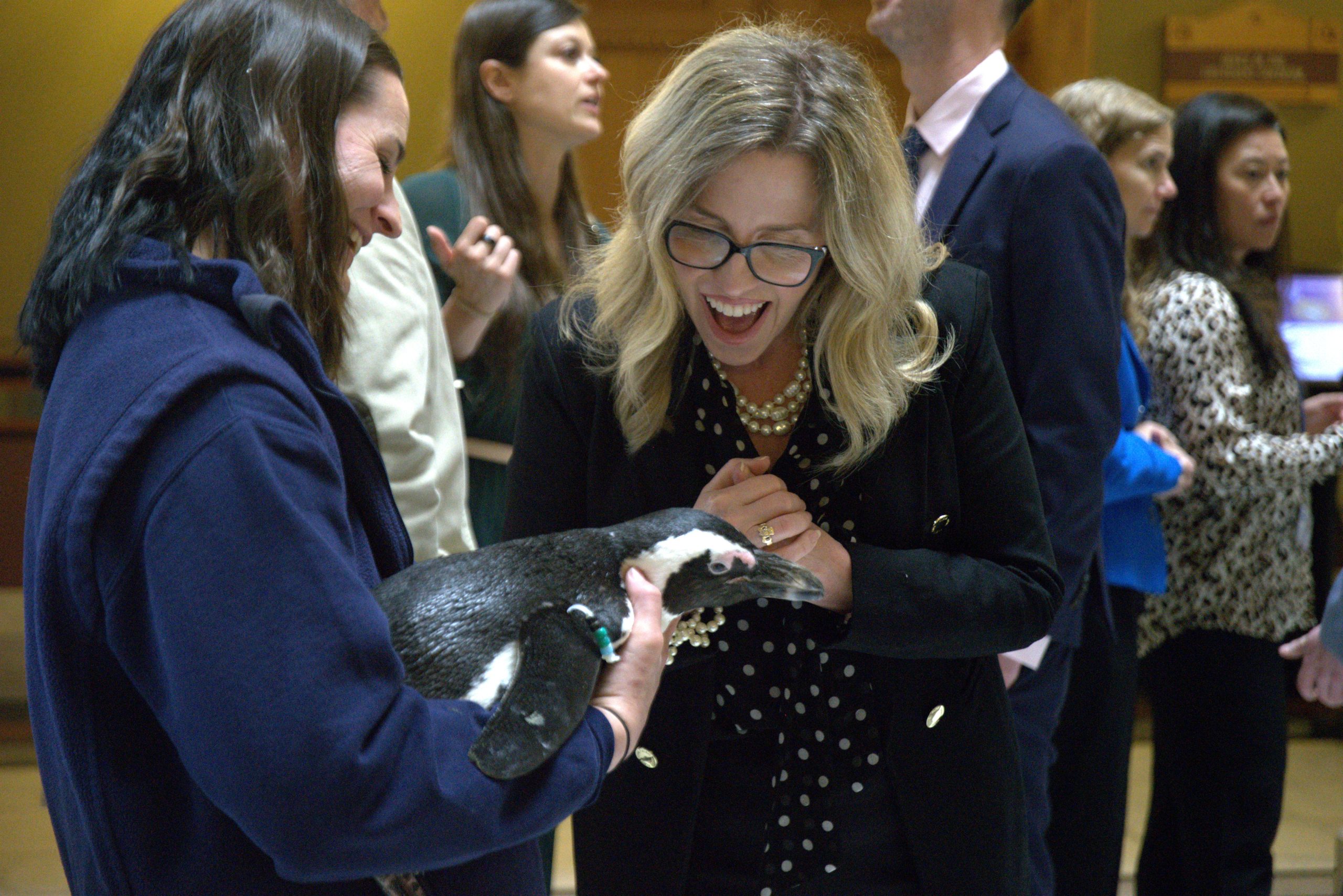 Camp safety, state tourism, Hartford Whalers Day: CT politics news