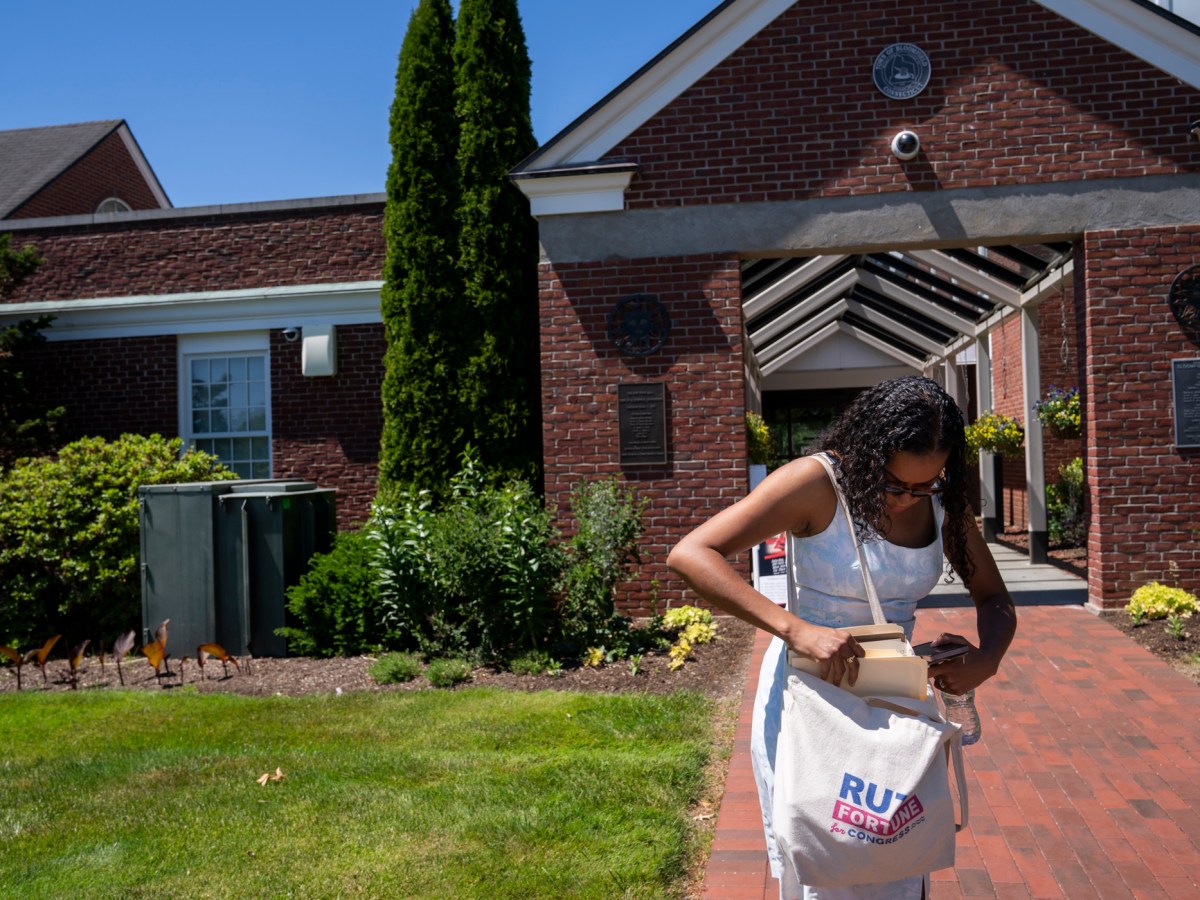 Ruth Fortune’s hopes for congressional primary ride in a tote bag