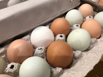 1.5 million eggs is the least of it