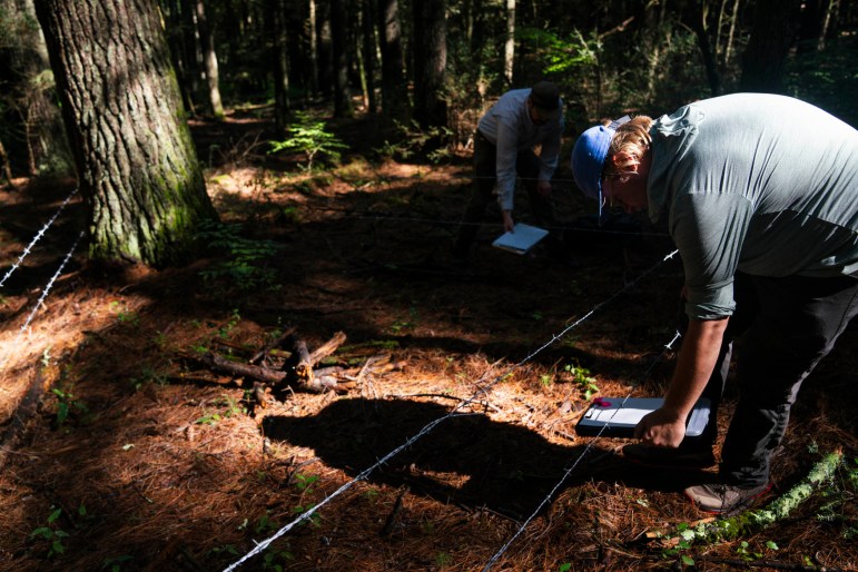 Woxman and Kurz examine barbed wire for bear hair.