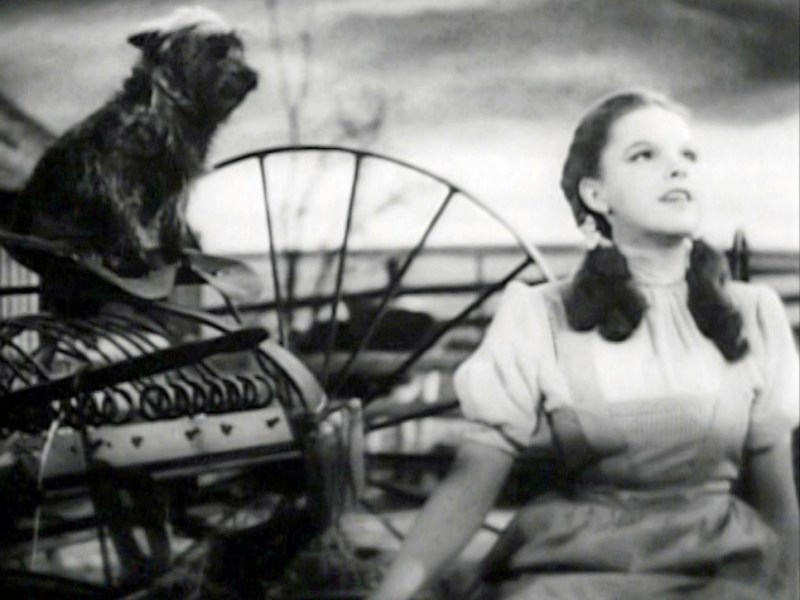 Today’s politics make me feel like Dorothy in ‘The Wizard of Oz’