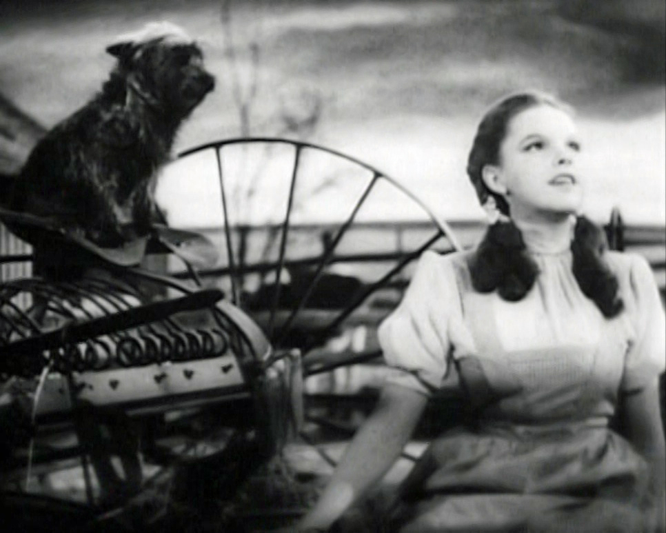 Today’s politics make me feel like Dorothy in ‘The Wizard of Oz’