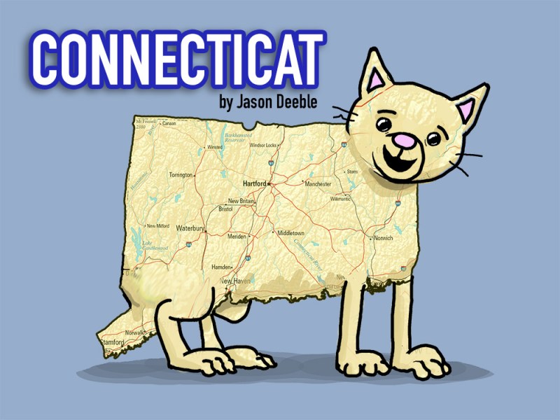 ConnectiCAT feels watched